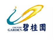 漳平碧桂园地产